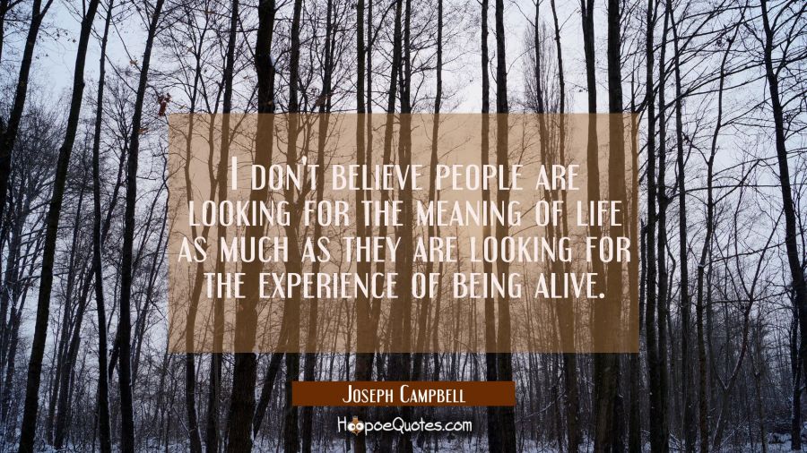 I don't believe people are looking for the meaning of life as much as they are looking for the expe Joseph Campbell Quotes