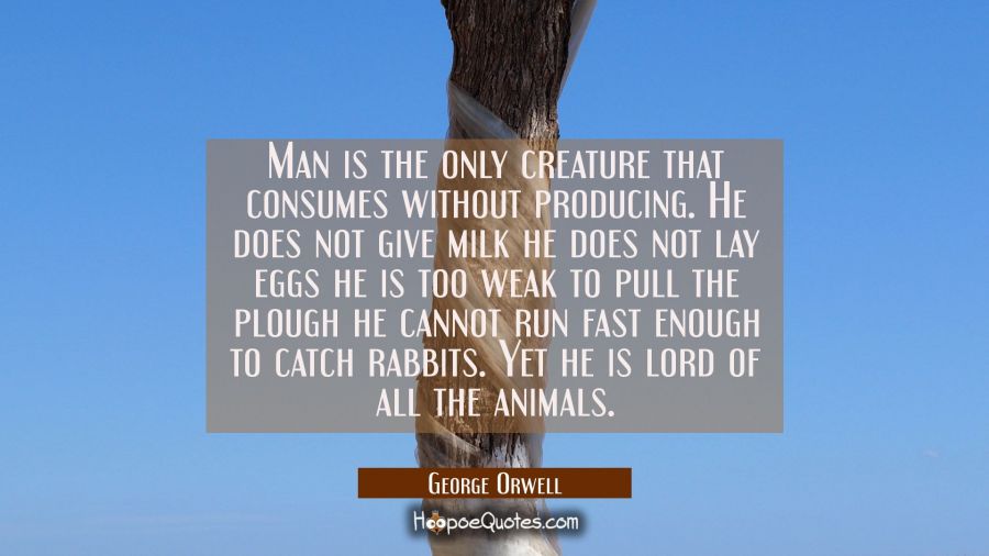 Man is the only creature that consumes without producing. He does not give milk he does not lay egg George Orwell Quotes