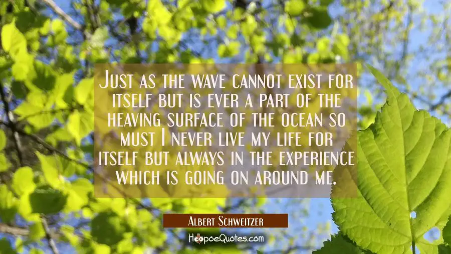 Just as the wave cannot exist for itself but is ever a part of the heaving surface of the ocean so  Albert Schweitzer Quotes