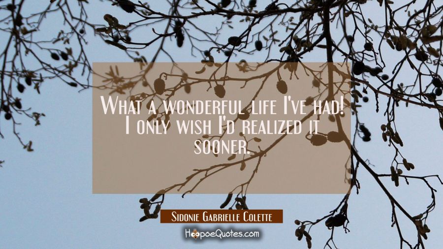 What a wonderful life I've had! I only wish I'd realized it sooner. Sidonie Gabrielle Colette Quotes