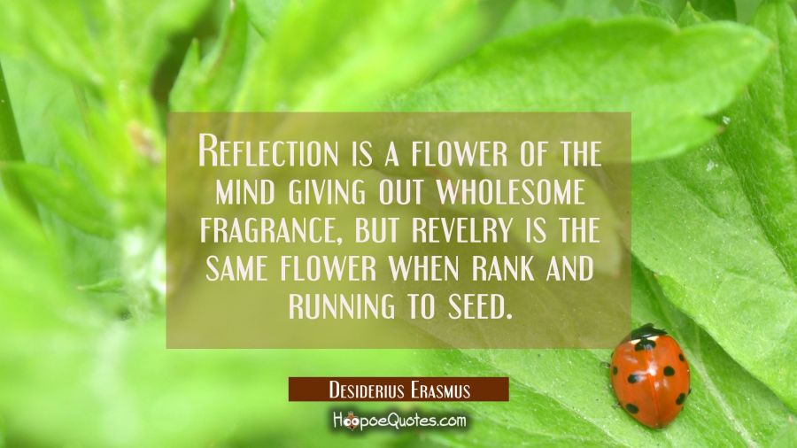 Reflection is a flower of the mind giving out wholesome fragrance, but revelry is the same flower w Desiderius Erasmus Quotes