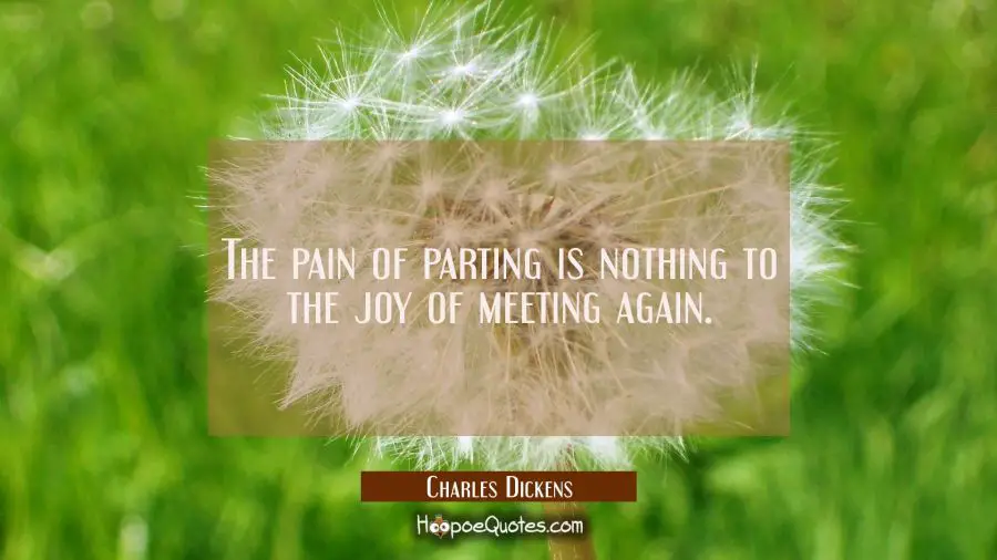 The pain of parting is nothing to the joy of meeting again. Charles Dickens Quotes
