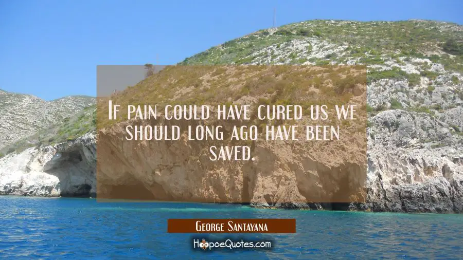 If pain could have cured us we should long ago have been saved. George Santayana Quotes