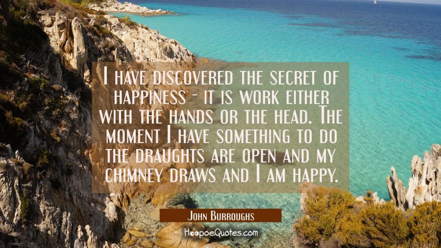 I have discovered the secret of happiness - it is work either with the hands or the head. The momen John Burroughs Quotes