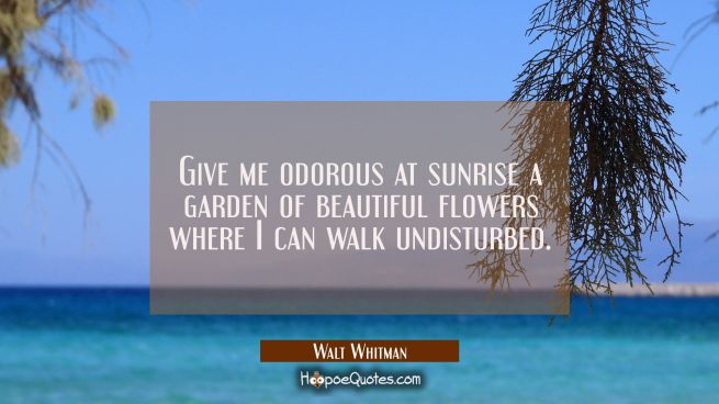 Give me odorous at sunrise a garden of beautiful flowers where I can walk undisturbed.