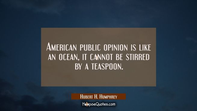 American public opinion is like an ocean it cannot be stirred by a teaspoon.
