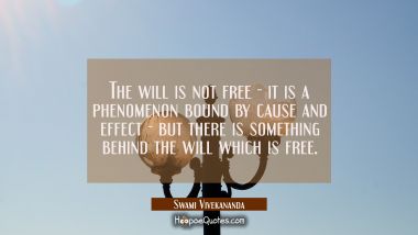 The will is not free - it is a phenomenon bound by cause and effect - but there is something behind