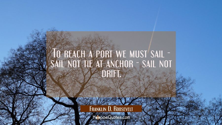 To reach a port we must sail - sail not tie at anchor - sail not drift. Franklin D. Roosevelt Quotes