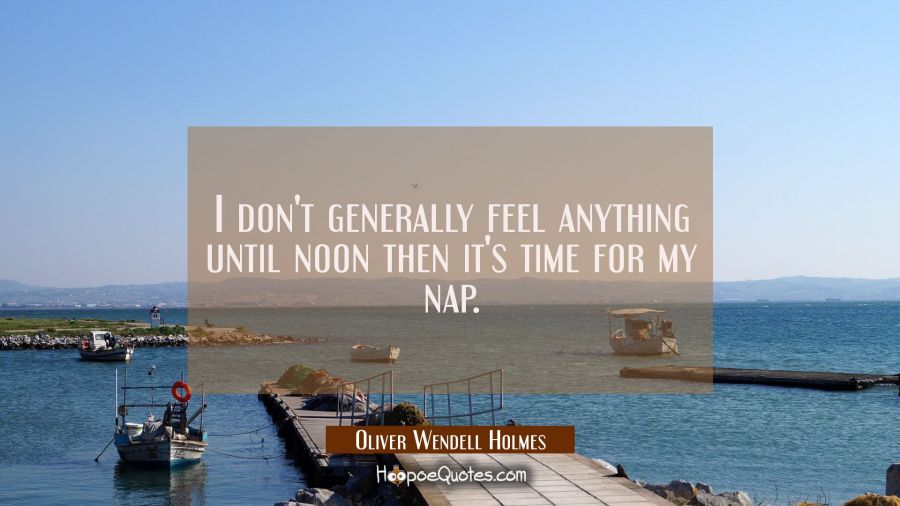 I don't generally feel anything until noon then it's time for my nap. Oliver Wendell Holmes Quotes