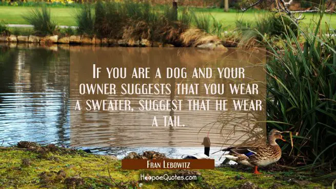 If you are a dog and your owner suggests that you wear a sweater suggest that he wear a tail.