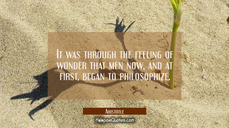 It was through the feeling of wonder that men now and at first began to philosophize Aristotle Quotes