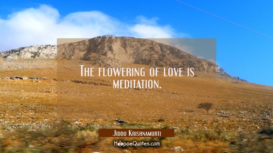 The flowering of love is meditation. Jiddu Krishnamurti Quotes