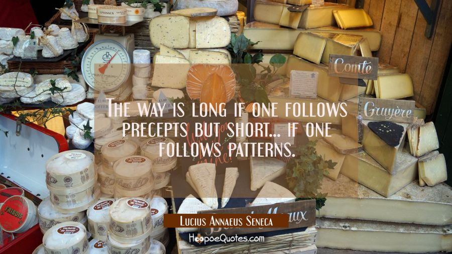 The way is long if one follows precepts but short... if one follows patterns. Lucius Annaeus Seneca Quotes
