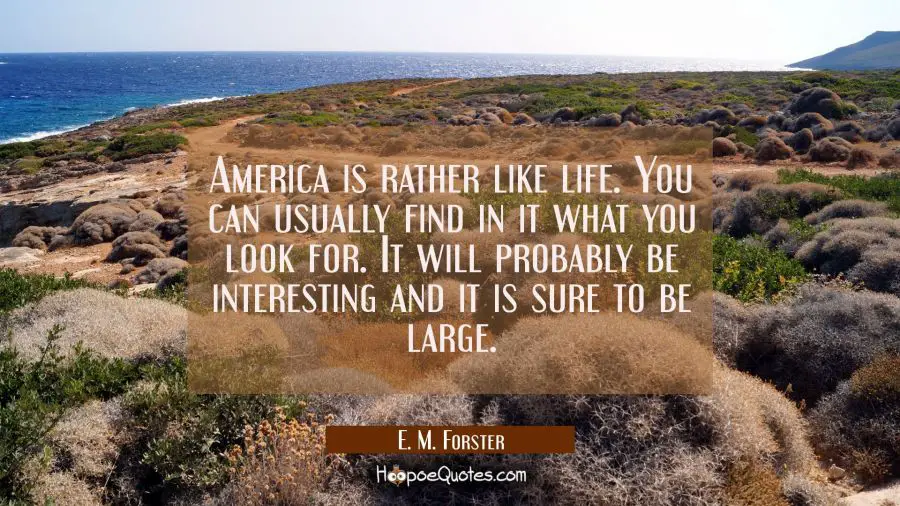 America is rather like life. You can usually find in it what you look for. It will probably be inte E. M. Forster Quotes