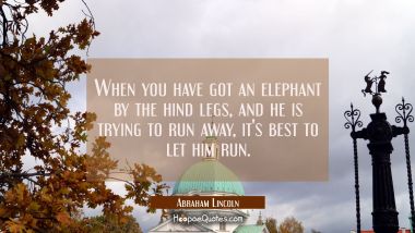 When you have got an elephant by the hind legs and he is trying to run away it&#039;s best to let him ru