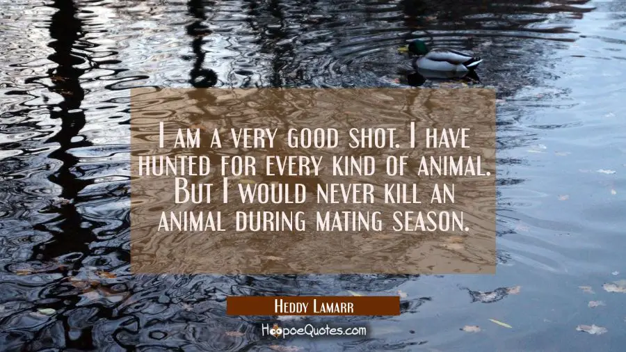 I am a very good shot. I have hunted for every kind of animal. But I would never kill an animal dur Hedy Lamarr Quotes