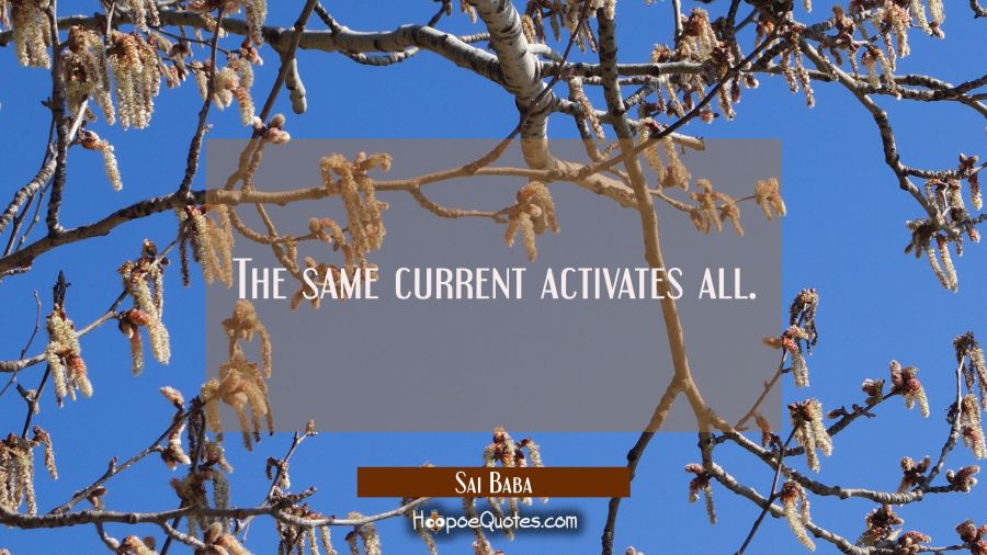 The same current activates all. Sai Baba Quotes