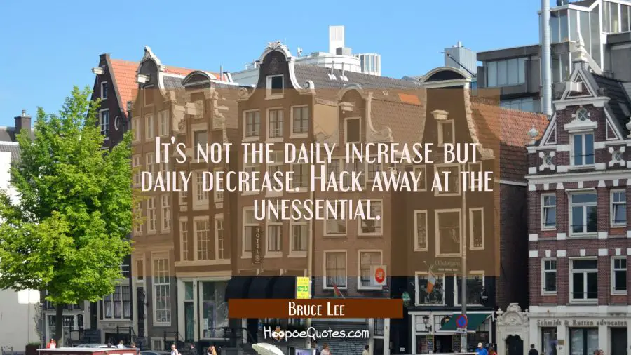 It&#039;s not the daily increase but daily decrease. Hack away at the unessential. Bruce Lee Quotes