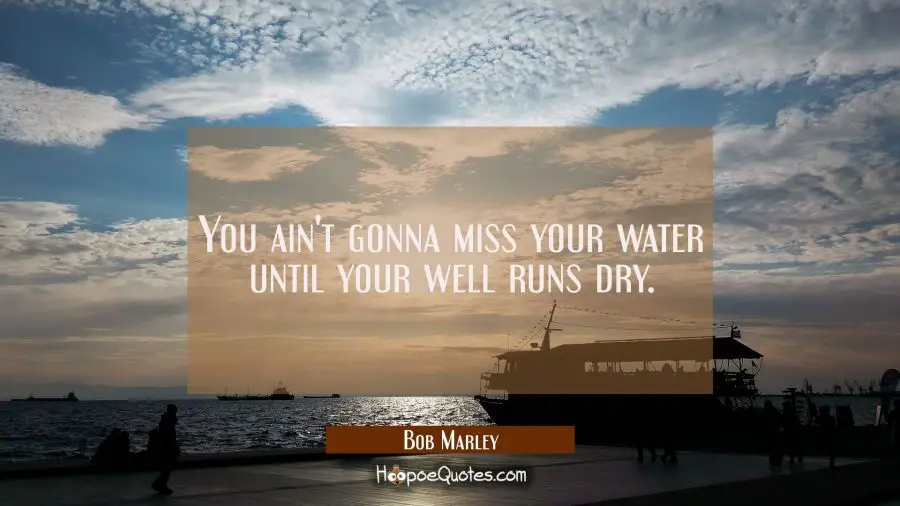 You ain&#039;t gonna miss your water until your well runs dry. Bob Marley Quotes