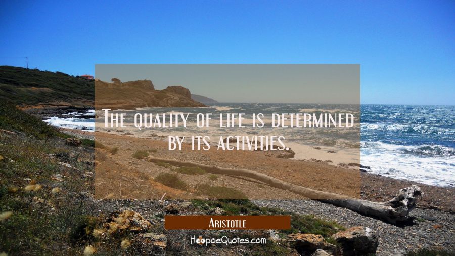 The quality of life is determined by its activities. Aristotle Quotes