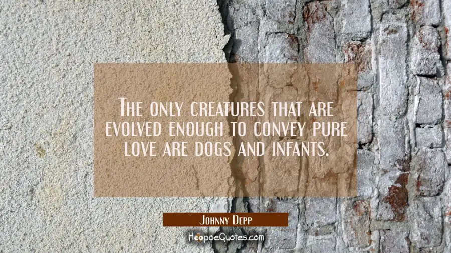 The only creatures that are evolved enough to convey pure love are dogs and infants. Johnny Depp Quotes