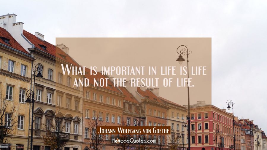 What is important in life is life and not the result of life. Johann Wolfgang von Goethe Quotes