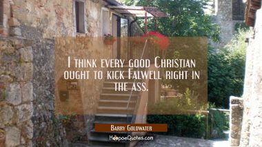 I think every good Christian ought to kick Falwell right in the ass.