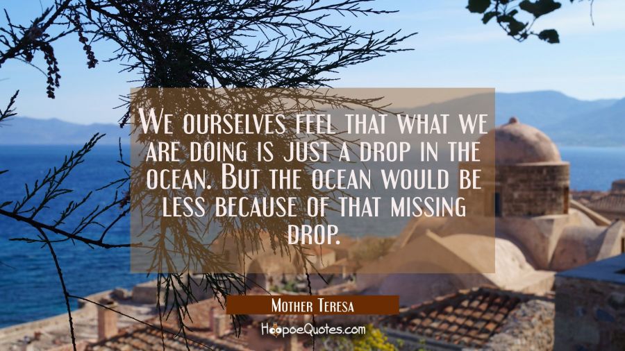 We ourselves feel that what we are doing is just a drop in the ocean. But the ocean would be less b Mother Teresa Quotes