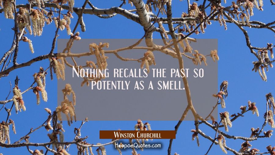 Nothing recalls the past so potently as a smell. Winston Churchill Quotes