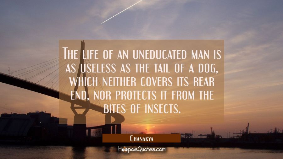 The life of an uneducated man is as useless as the tail of a dog which neither covers its rear end Chanakya Quotes