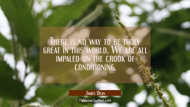 There is no way to be truly great in this world. We are all impaled on the crook of conditioning.
