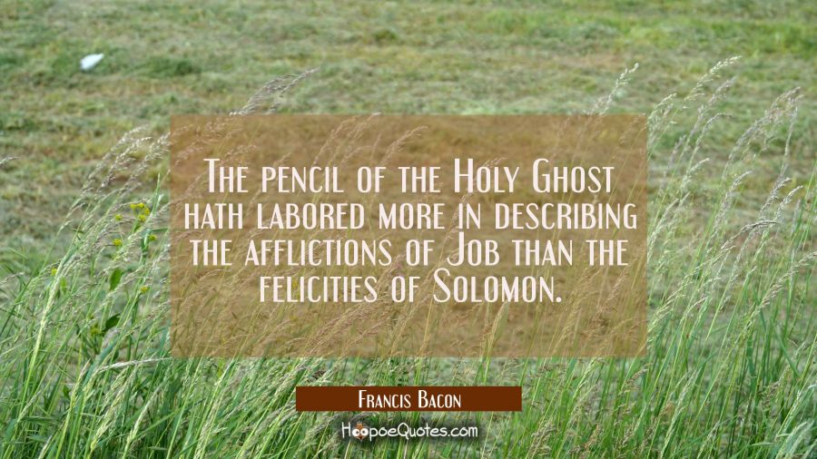 The pencil of the Holy Ghost hath labored more in describing the afflictions of Job than the felici Francis Bacon Quotes