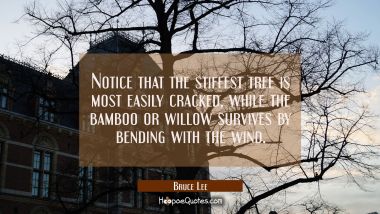 Notice that the stiffest tree is most easily cracked while the bamboo or willow survives by bending