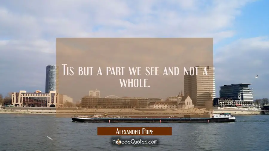 Tis but a part we see and not a whole. Alexander Pope Quotes