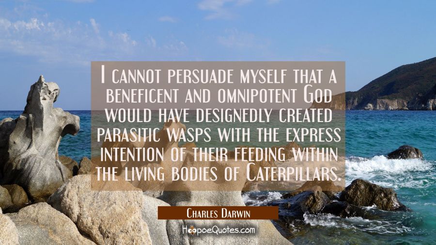 I cannot persuade myself that a beneficent and omnipotent God would have designedly created parasit Charles Darwin Quotes