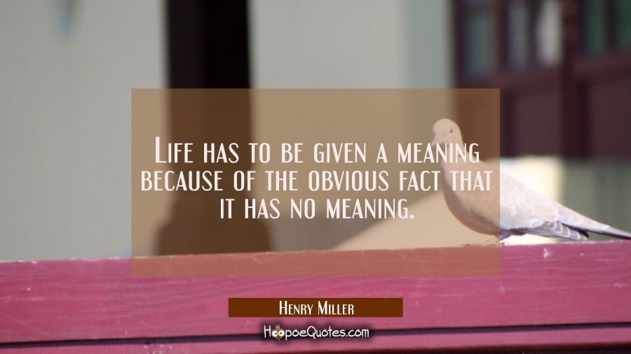 Life has to be given a meaning because of the obvious fact that it has no meaning. Henry Miller Quotes