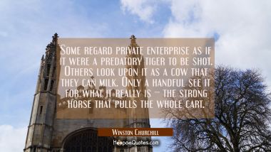 Some regard private enterprise as if it were a predatory tiger to be shot. Others look upon it as a Winston Churchill Quotes