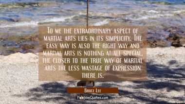 To me the extraordinary aspect of martial arts lies in its simplicity. The easy way is also the rig