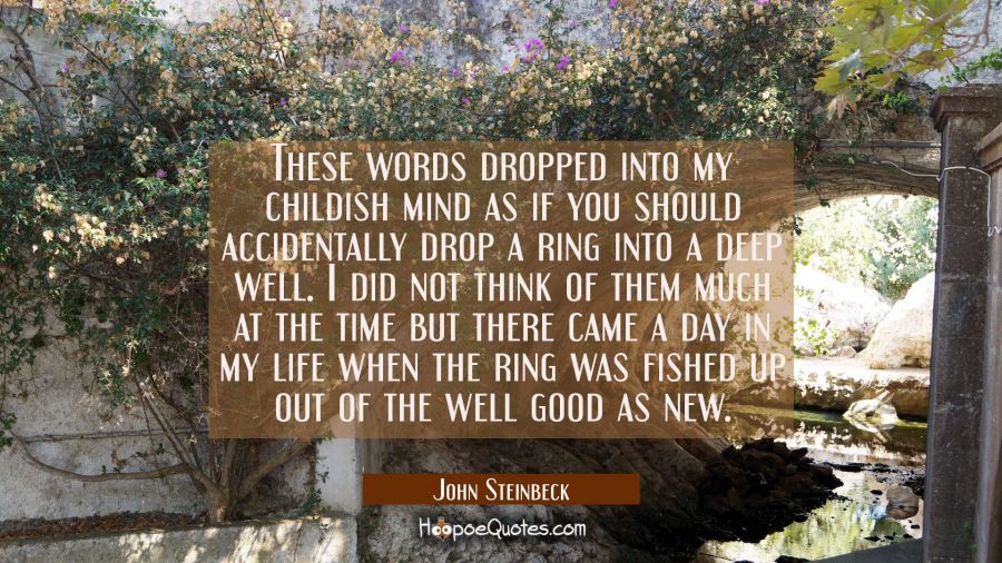 These words dropped into my childish mind as if you should accidentally drop a ring into a deep wel John Steinbeck Quotes