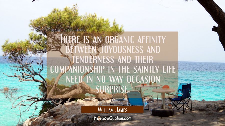 There is an organic affinity between joyousness and tenderness and their companionship in the saint William James Quotes