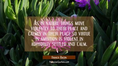 As in nature things move violently to their place and calmly in their place so virtue in ambition i