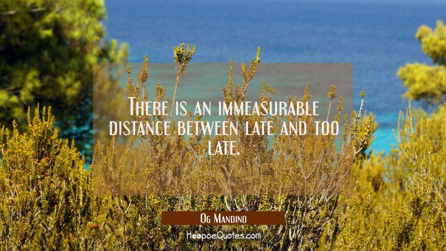 There is an immeasurable distance between late and too late. Og Mandino Quotes