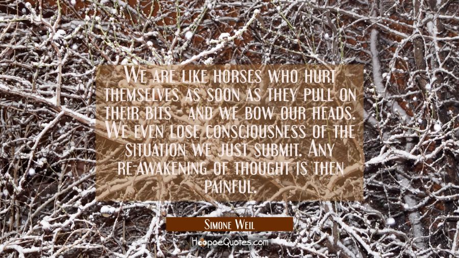 We are like horses who hurt themselves as soon as they pull on their bits - and we bow our heads. W Simone Weil Quotes