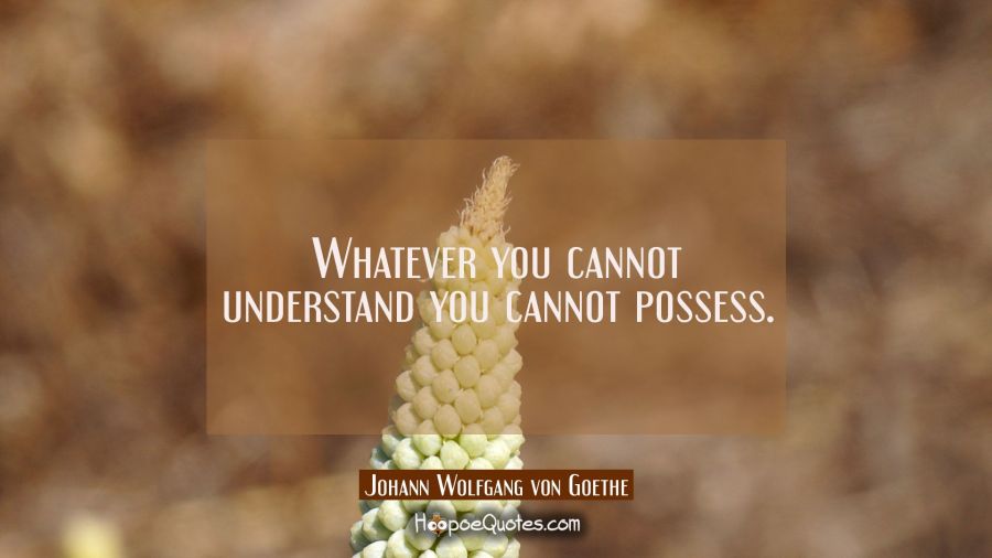 Whatever you cannot understand you cannot possess. Johann Wolfgang von Goethe Quotes
