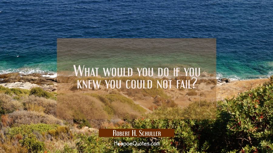 What would you do if you knew you could not fail? Robert H. Schuller Quotes