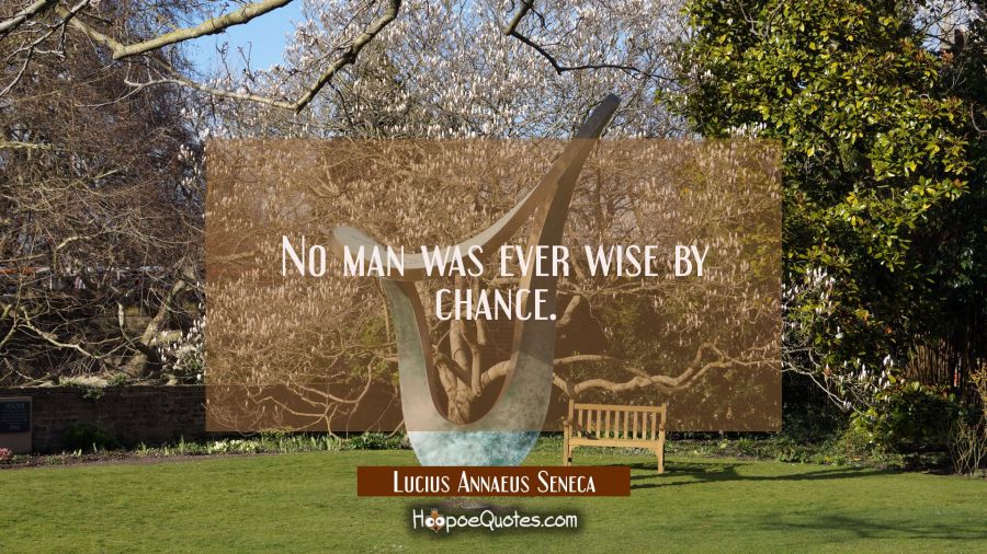 No man was ever wise by chance. Lucius Annaeus Seneca Quotes
