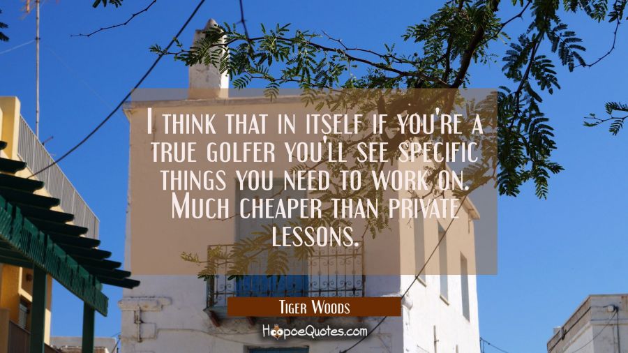 I think that in itself if you're a true golfer you'll see specific things you need to work on. Much Tiger Woods Quotes