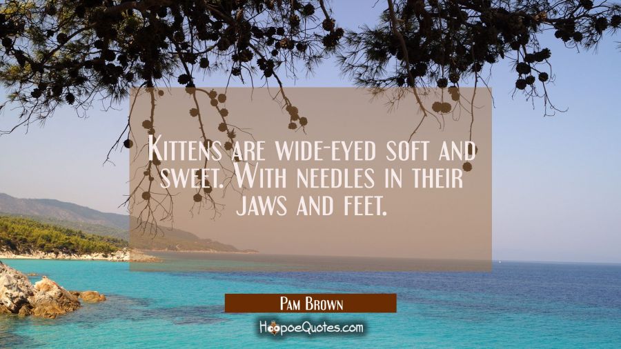 Kittens are wide-eyed soft and sweet. With needles in their jaws and feet. Pam Brown Quotes