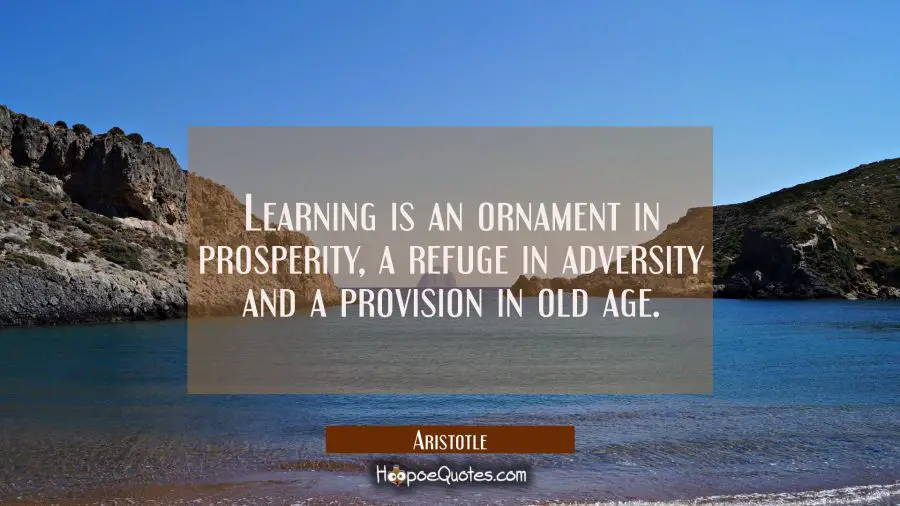 Learning is an ornament in prosperity a refuge in adversity and a provision in old age. Aristotle Quotes