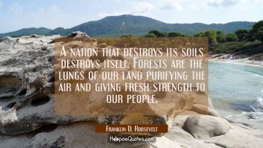 A nation that destroys its soils destroys itself. Forests are the lungs of our land purifying the a
